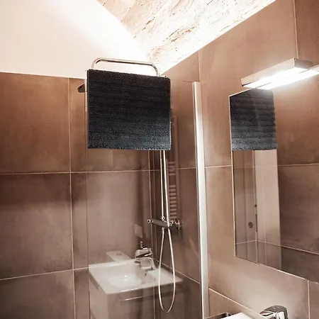 Ca Lespardenyer Appartement Banyoles