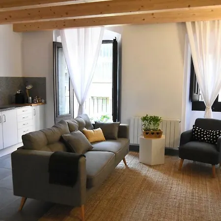 Ca Lespardenyer Apartmán Banyoles